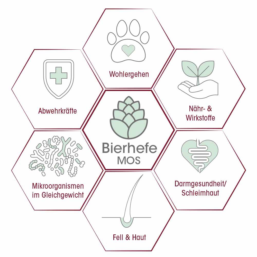 feliTATZ RégulateurIntestinal 50 g