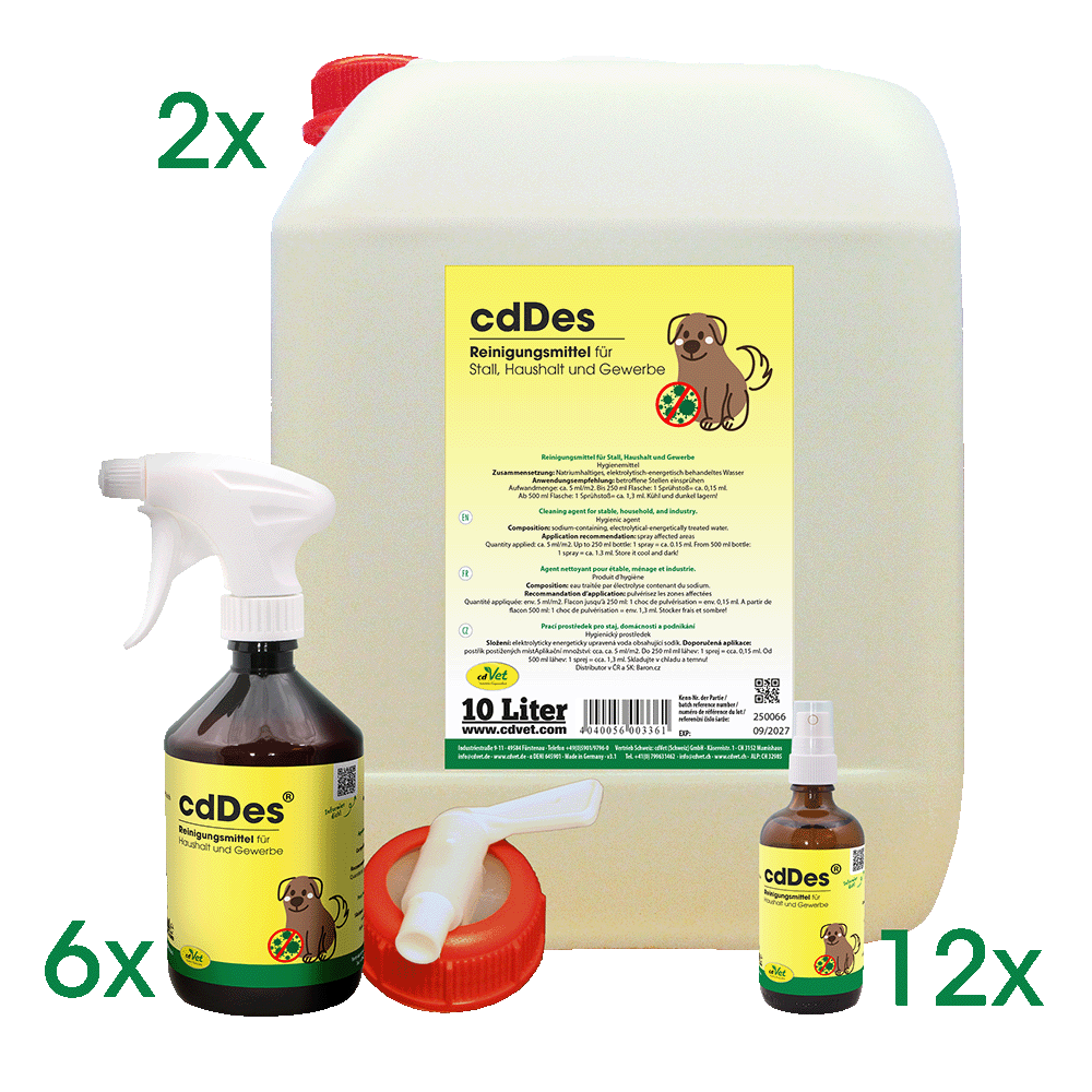 cdDes Fitness-Studios-Set XXL