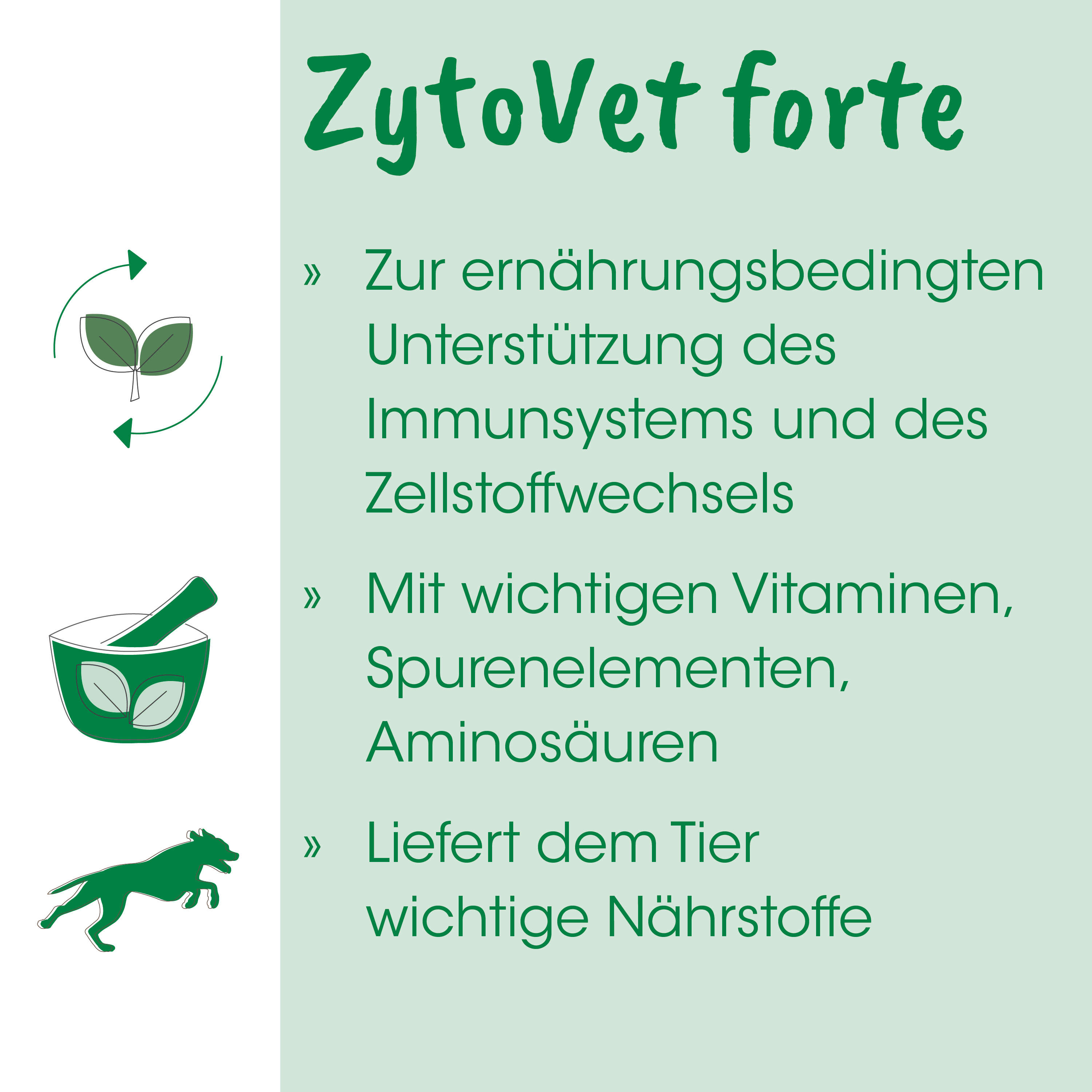 ZytoVet forte 1 kg