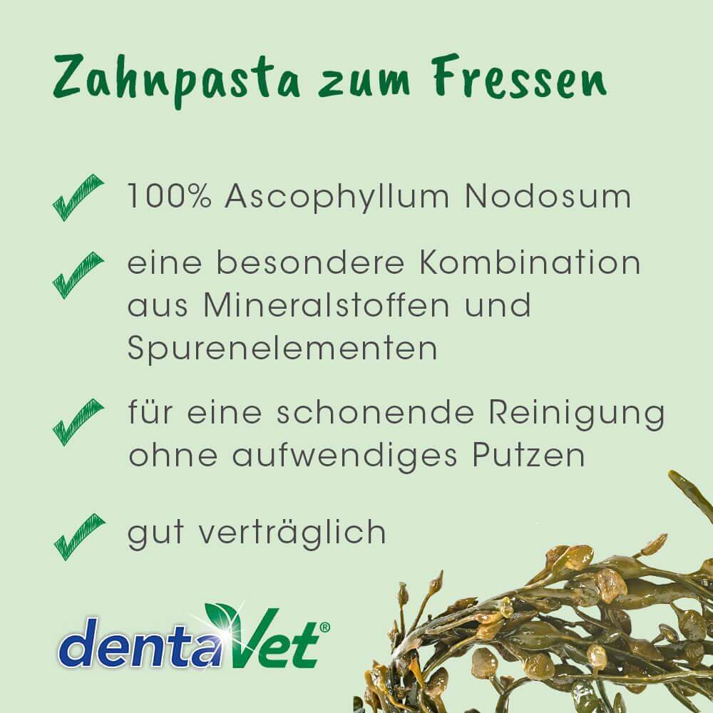 dentaVet Anti-Plaque 150 g