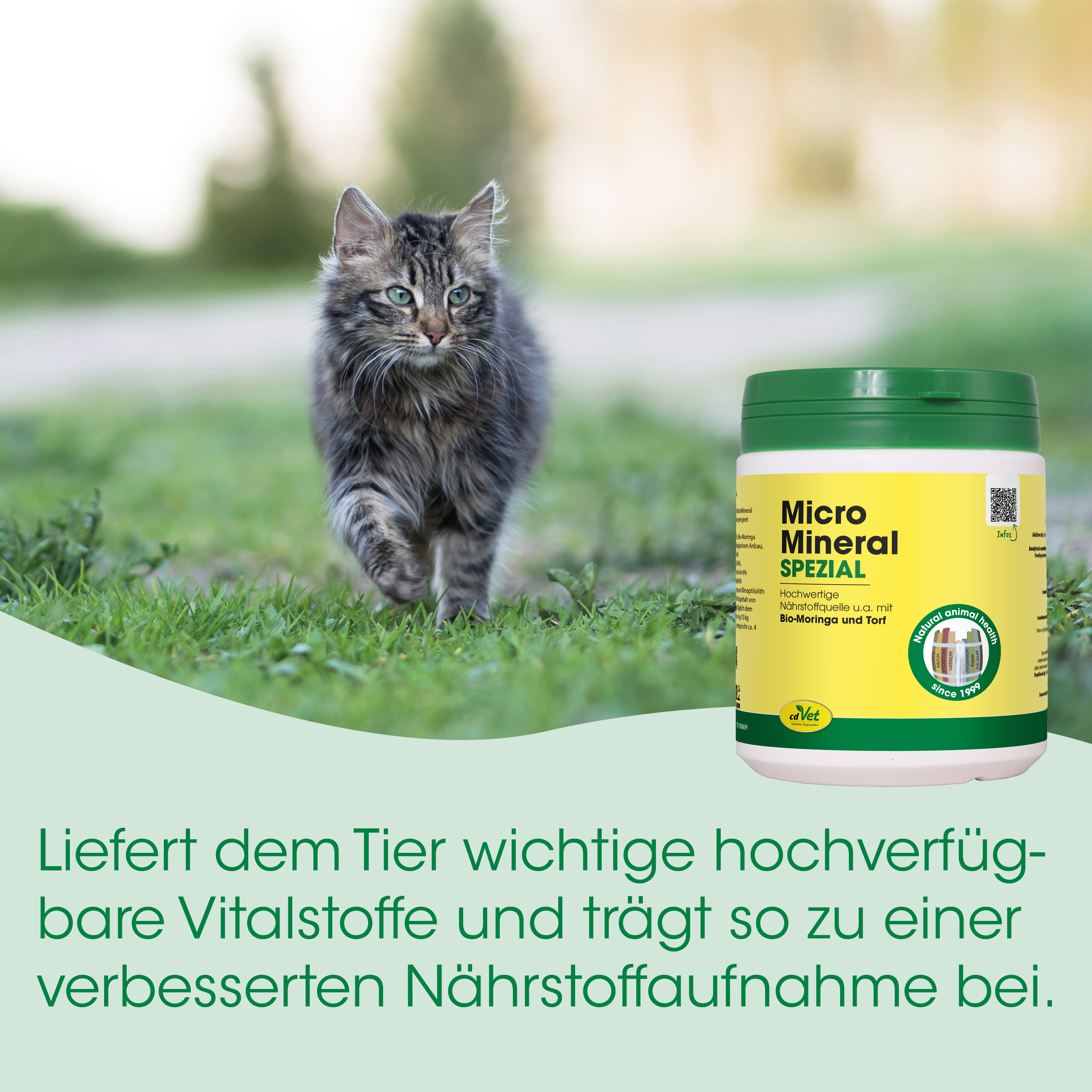 Katze, Katzenfutter, Nahrungsergänzung, Mineralpaste, Tierpflege