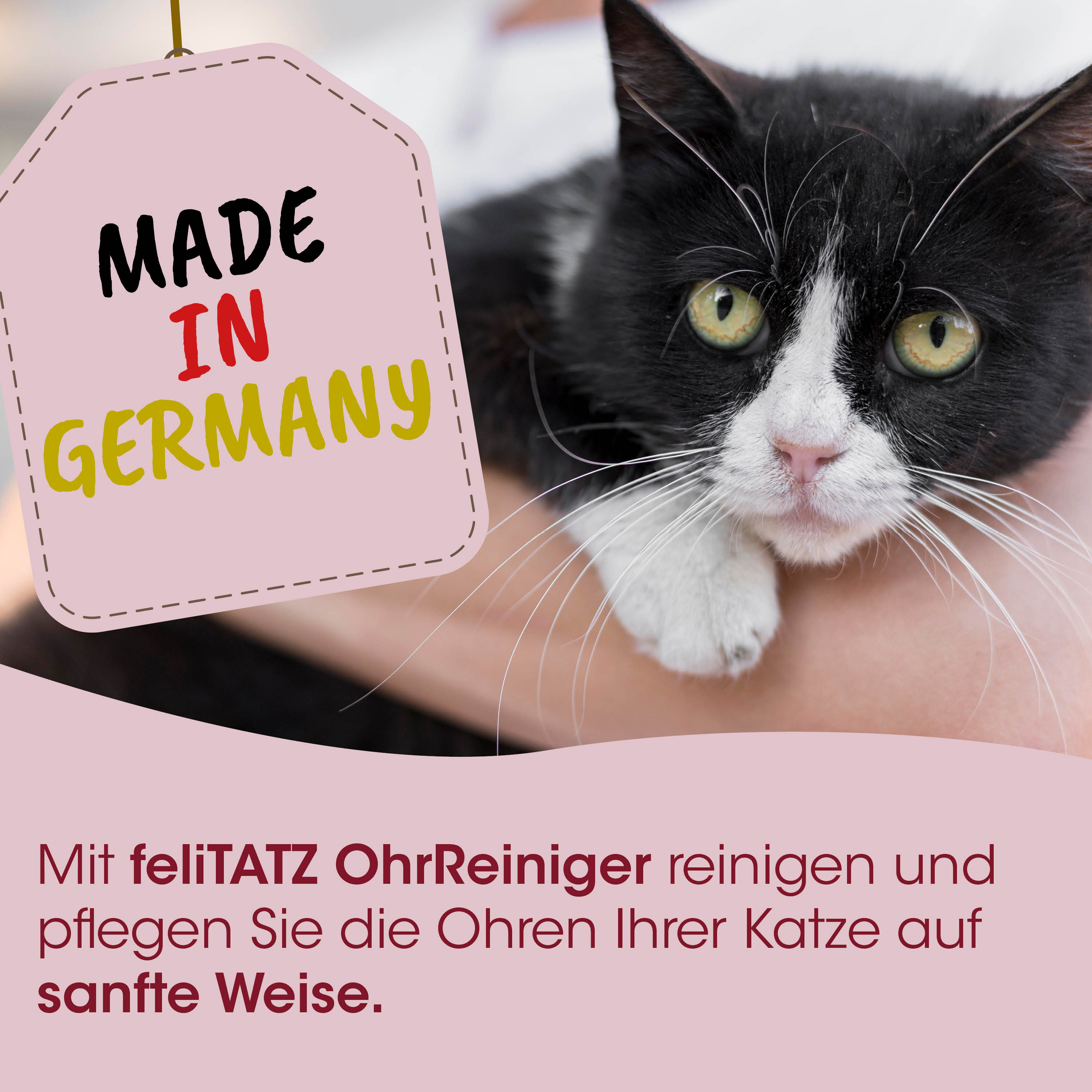  Katze,  Haustier,  Ohrreiniger,  Pflege,  Made in Germany
