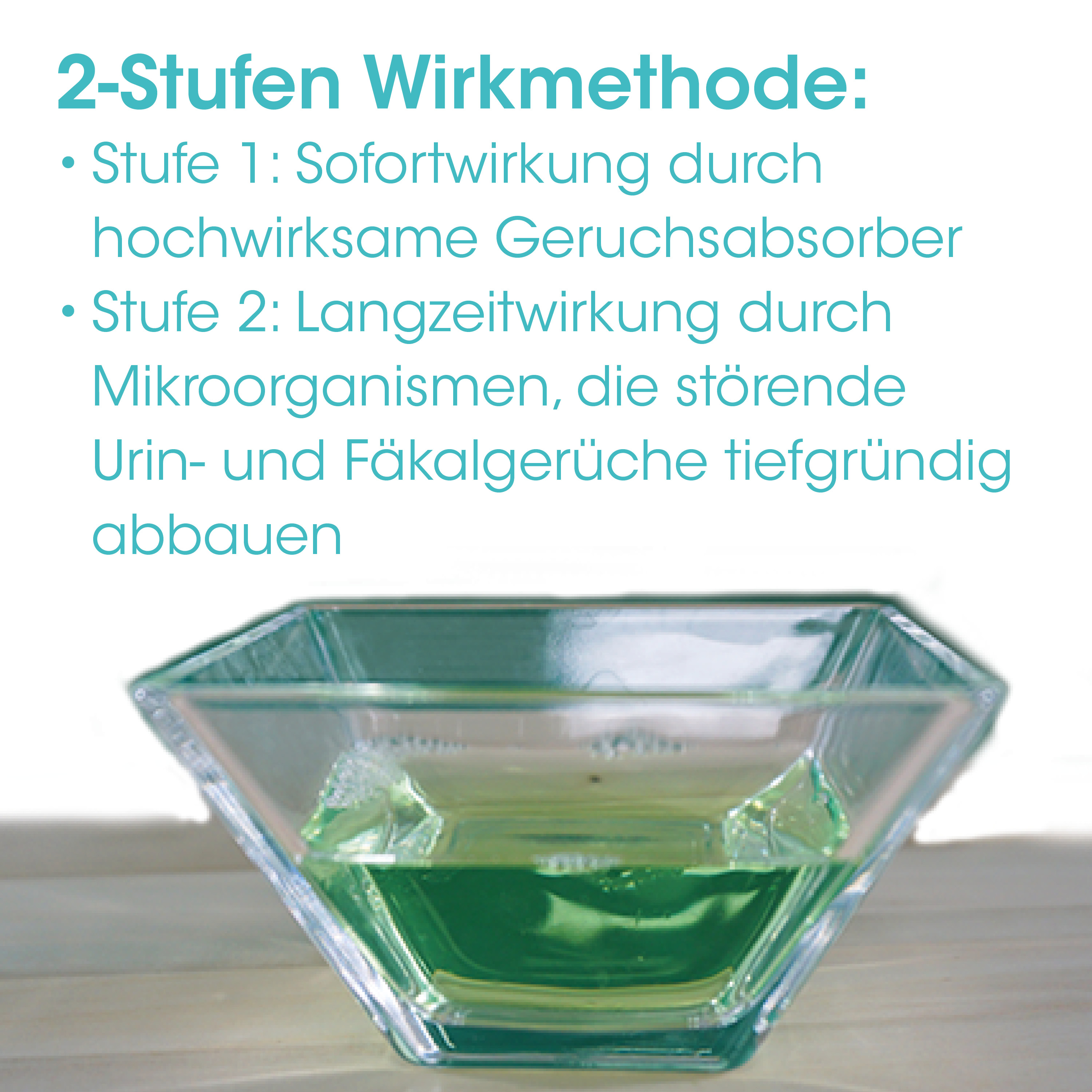 glasgefäß, schale, grün, glas, transparent