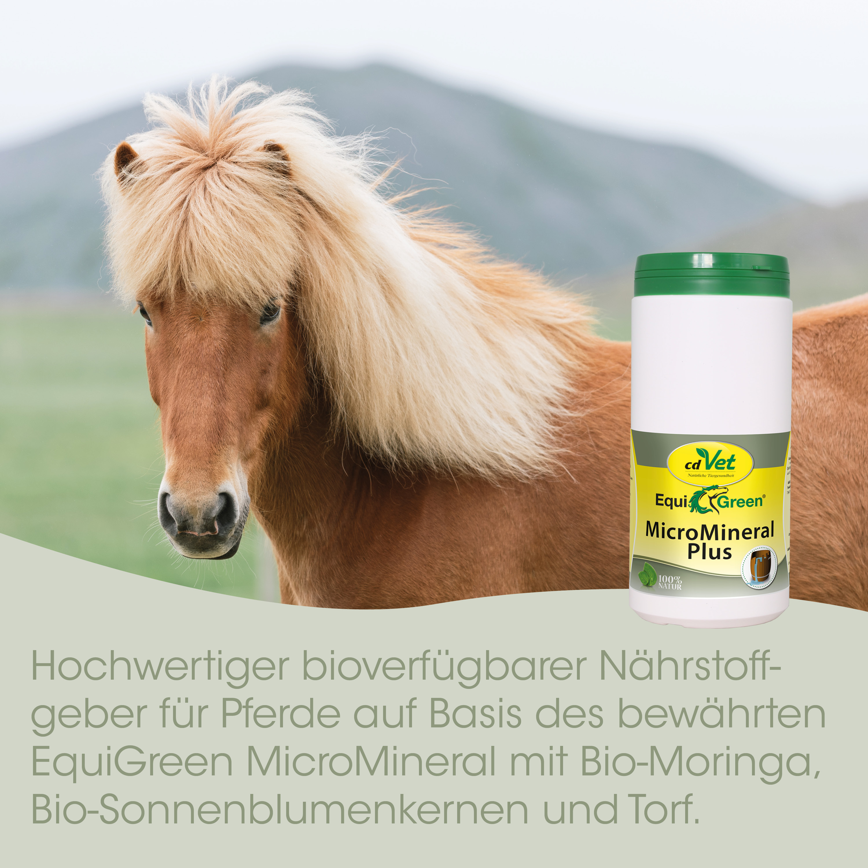 Pferde-Nahrung, Mineralunterstützung, Bio-Moringa, EquiGreen, Nährstoff-Gmöge