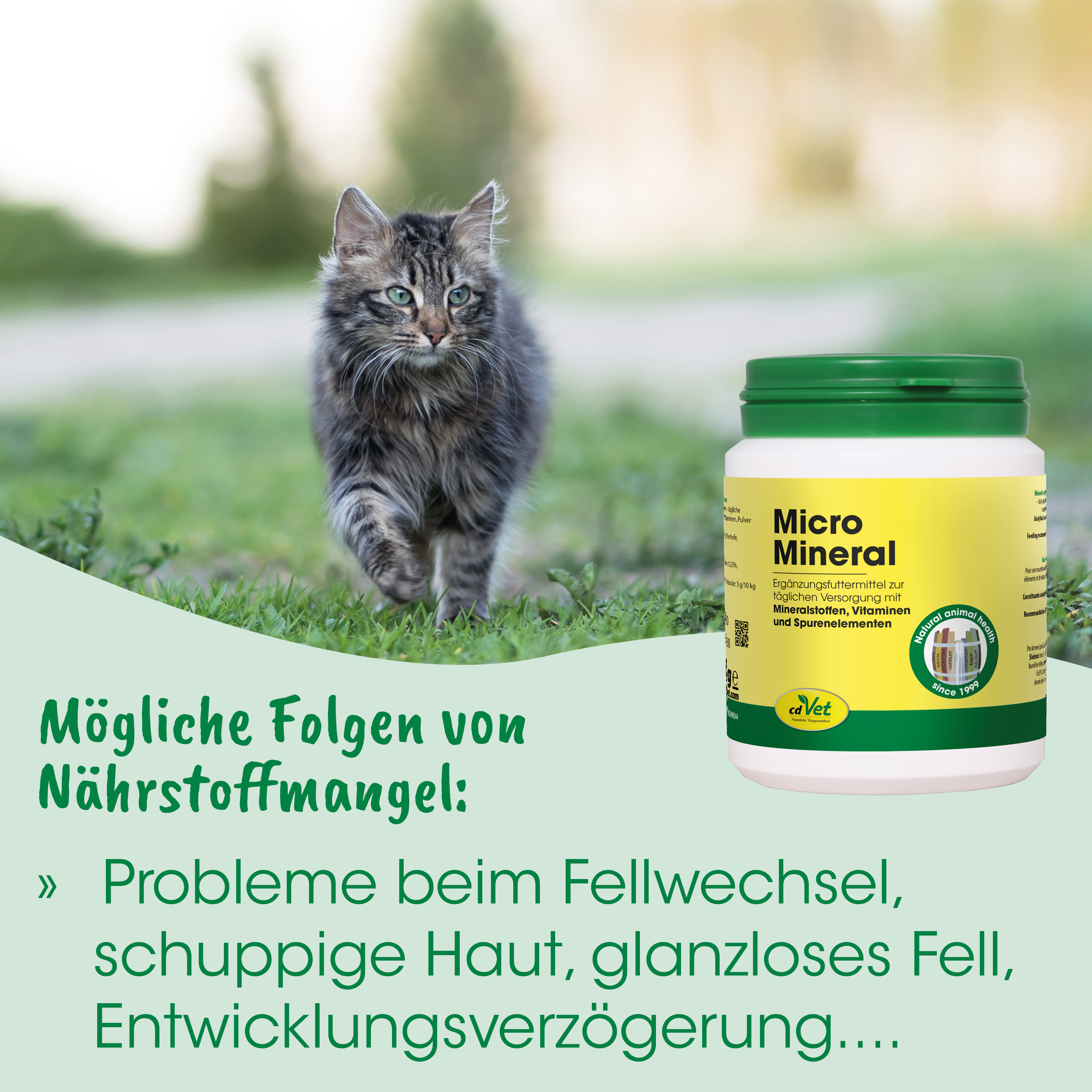 katze, katzenfutter, nährstoffergänzung, glasbehälter, grüner deckel