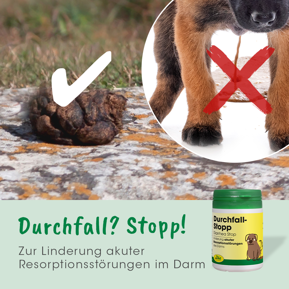DiarrhéeStop 100 Capsules