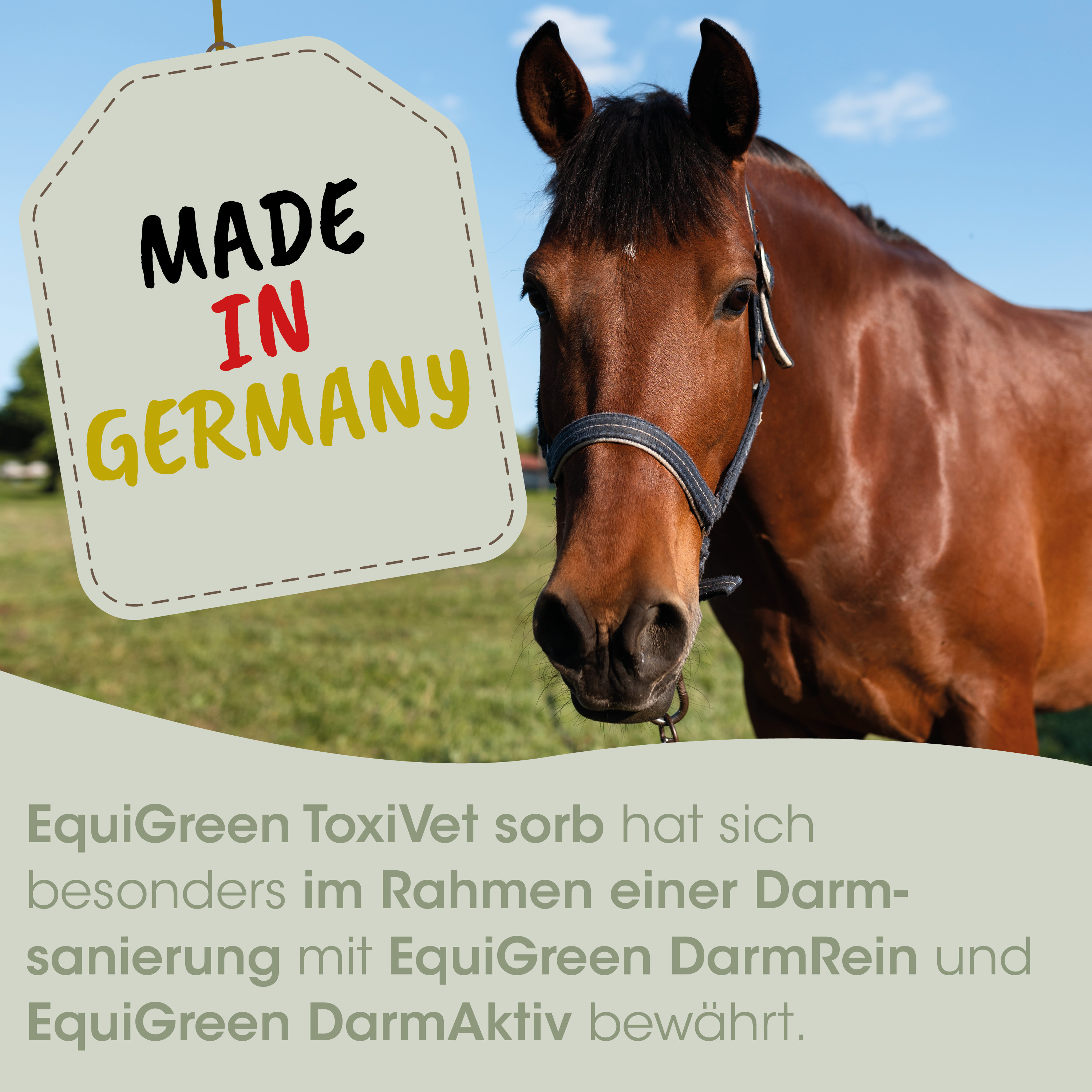 Pferd, Reitleinrichtung, Zügel, braun, Label