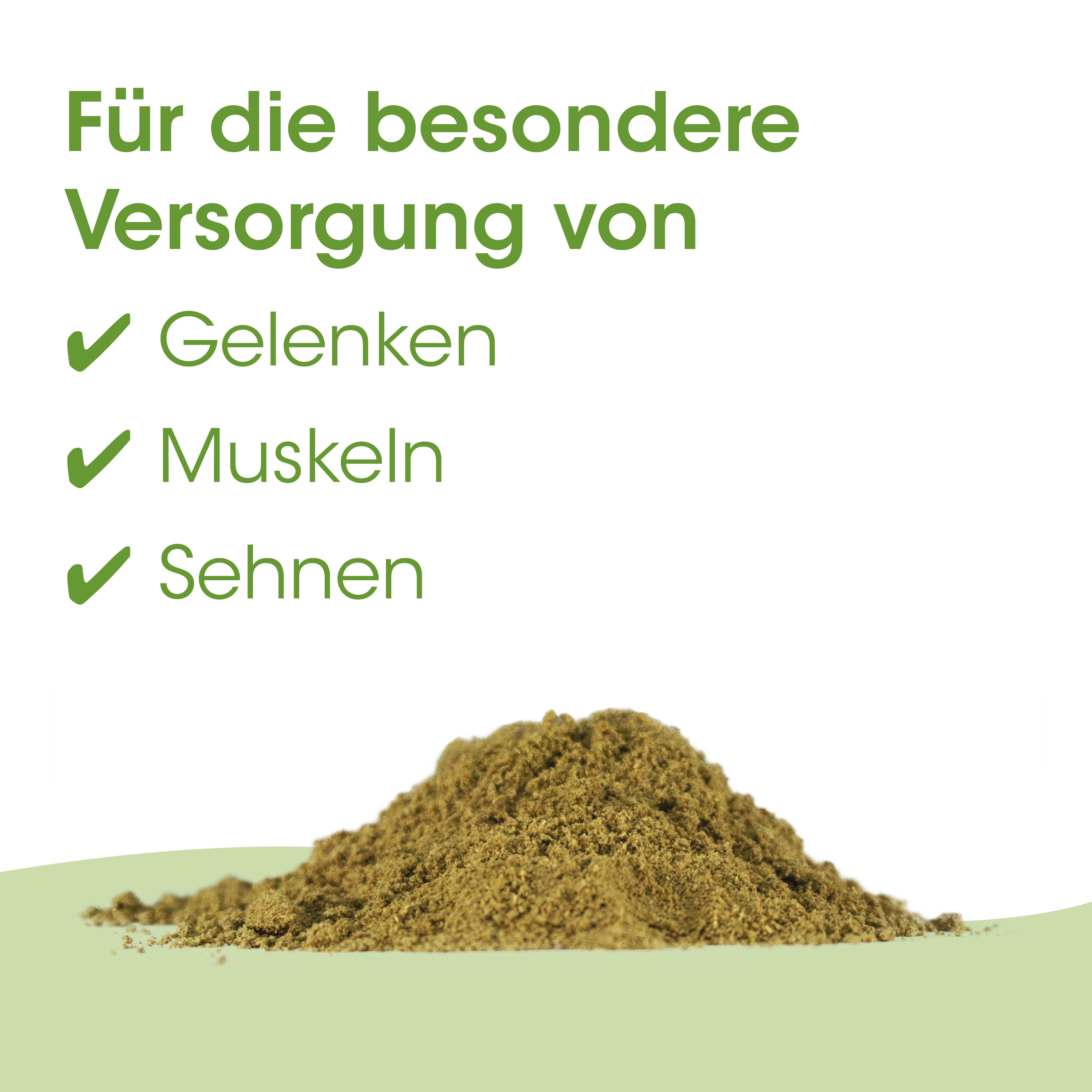 Gelenkpaste, Kiesel?, Pulver?, Kräuterpuder?, Birn?