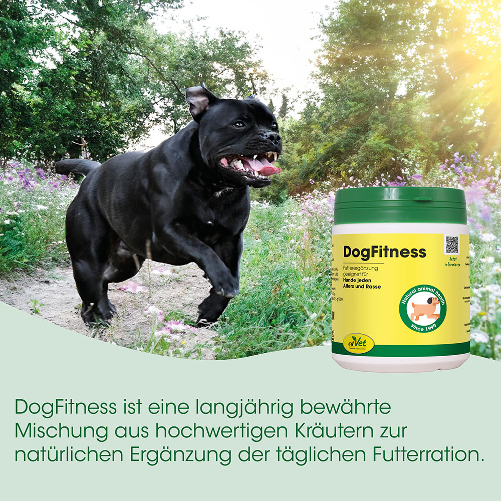 Hund, Schwarzer Hund, DogrFitness, Hundeernährung, Futterergänzung