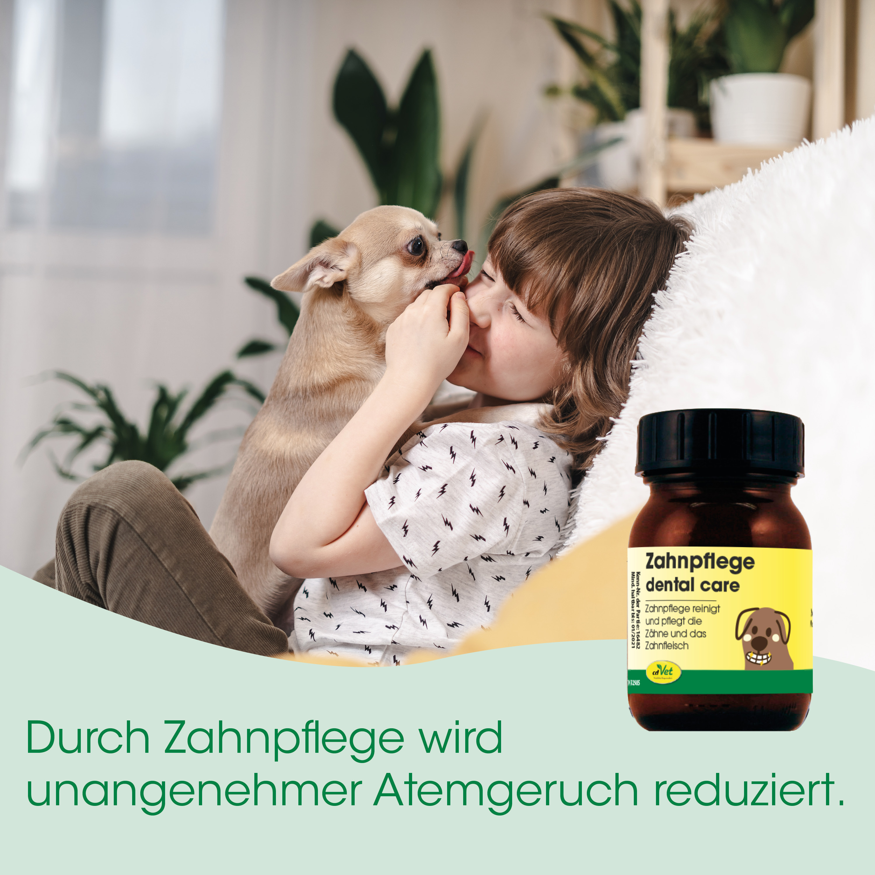 Hund, Tier, Zahnreinigung, Mundpflege, Flasche