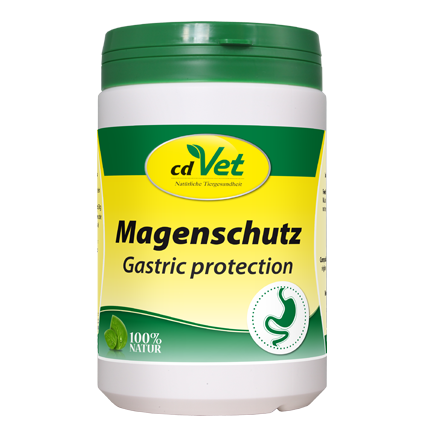 Protection Gastrique
