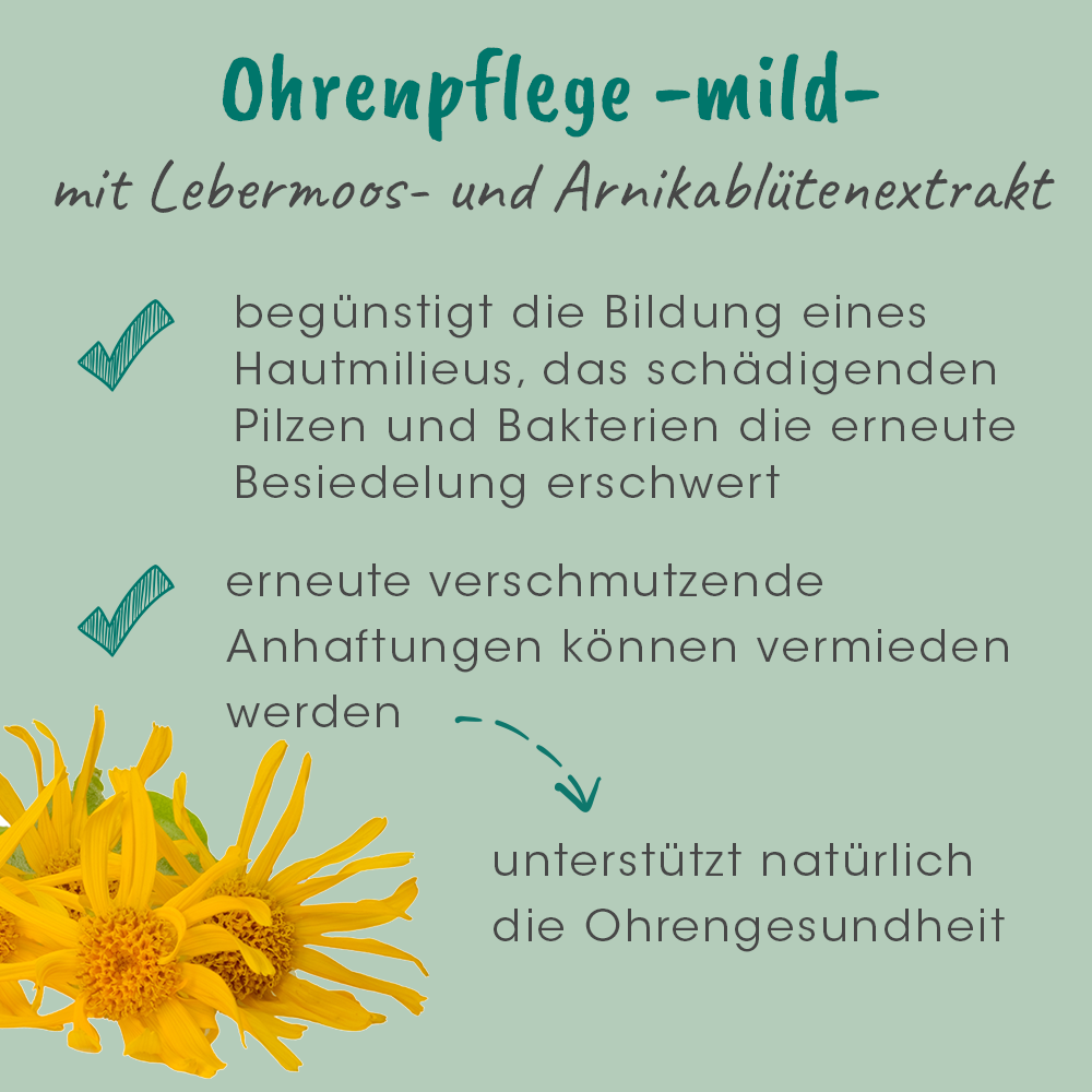 Eine andere, Blume, Werbung, Plakat, Blütenblatt