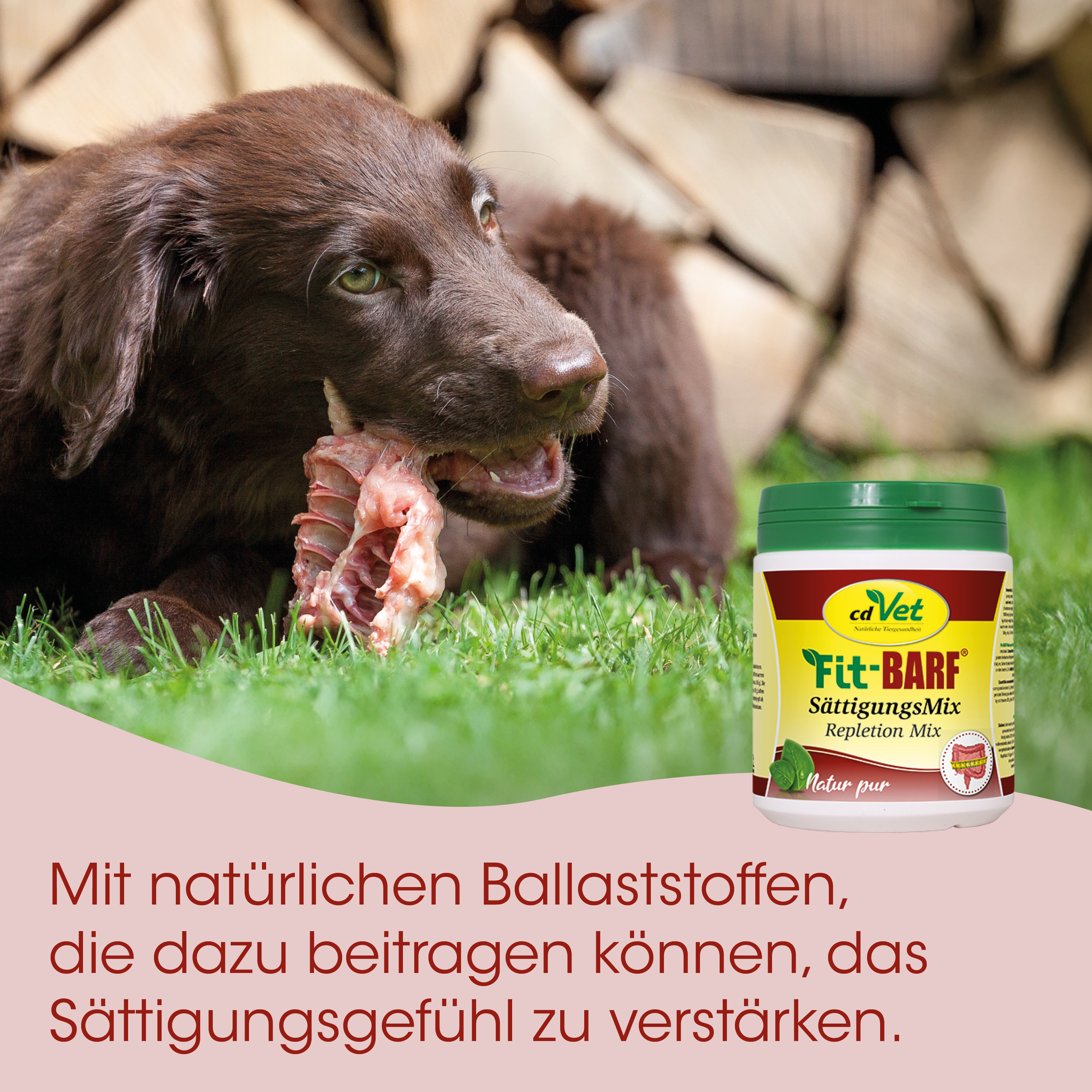 Hund, Kauknochen, Hundefutter, Proteinreich, Grünbraun