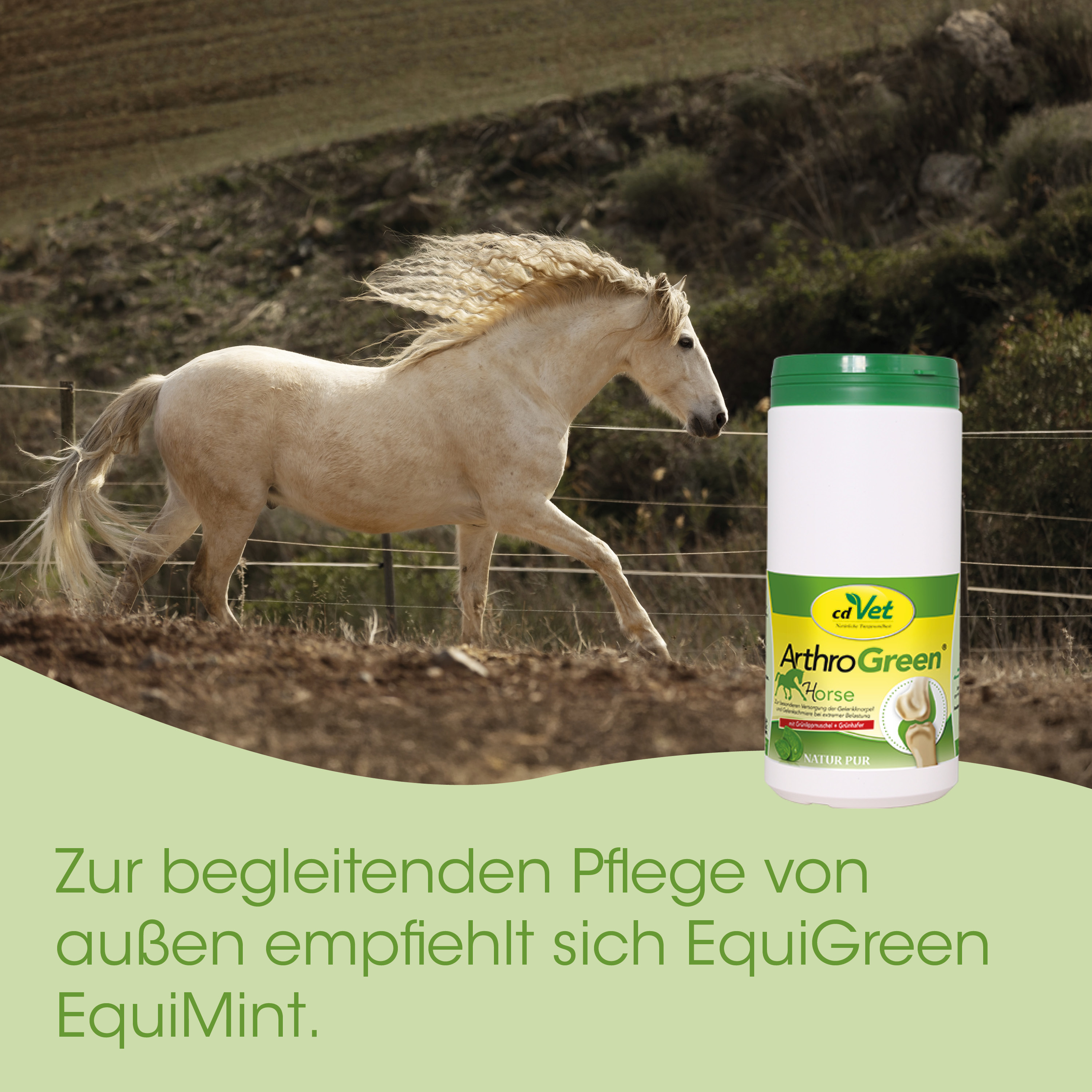 Pferd, Tier, Nahrungsergänzung, Behälter, Grün