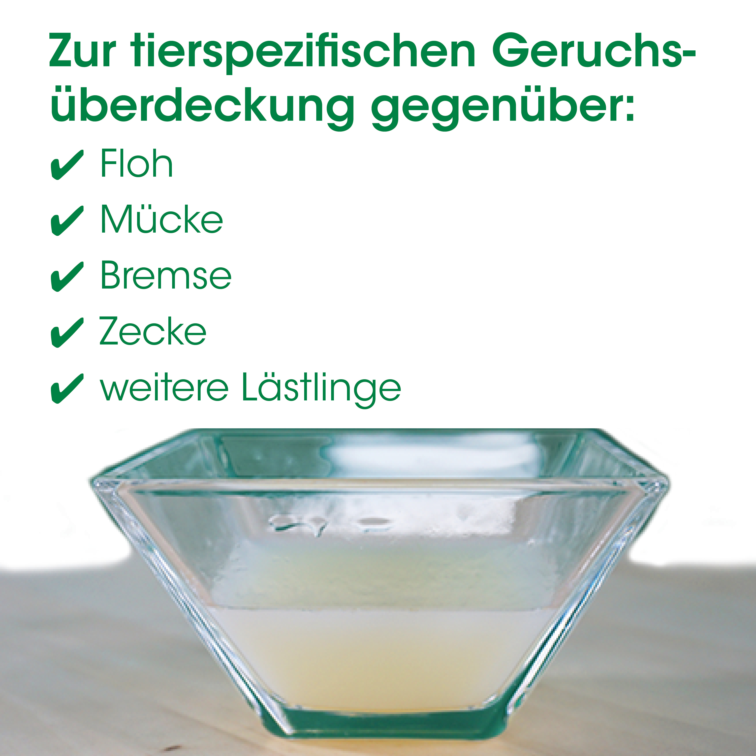 glas, martiniglas, dessertglas, transparent, schüssel
