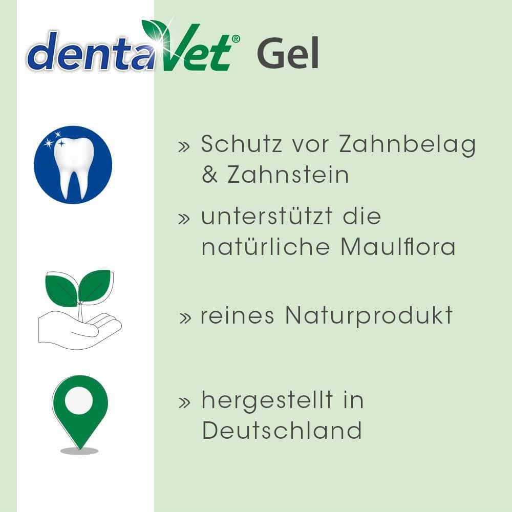 dentaVet Gel 25 ml
