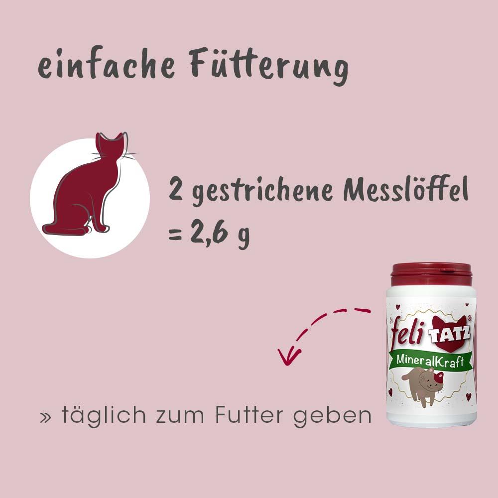 feliTATZ ForceMinérale 60 g