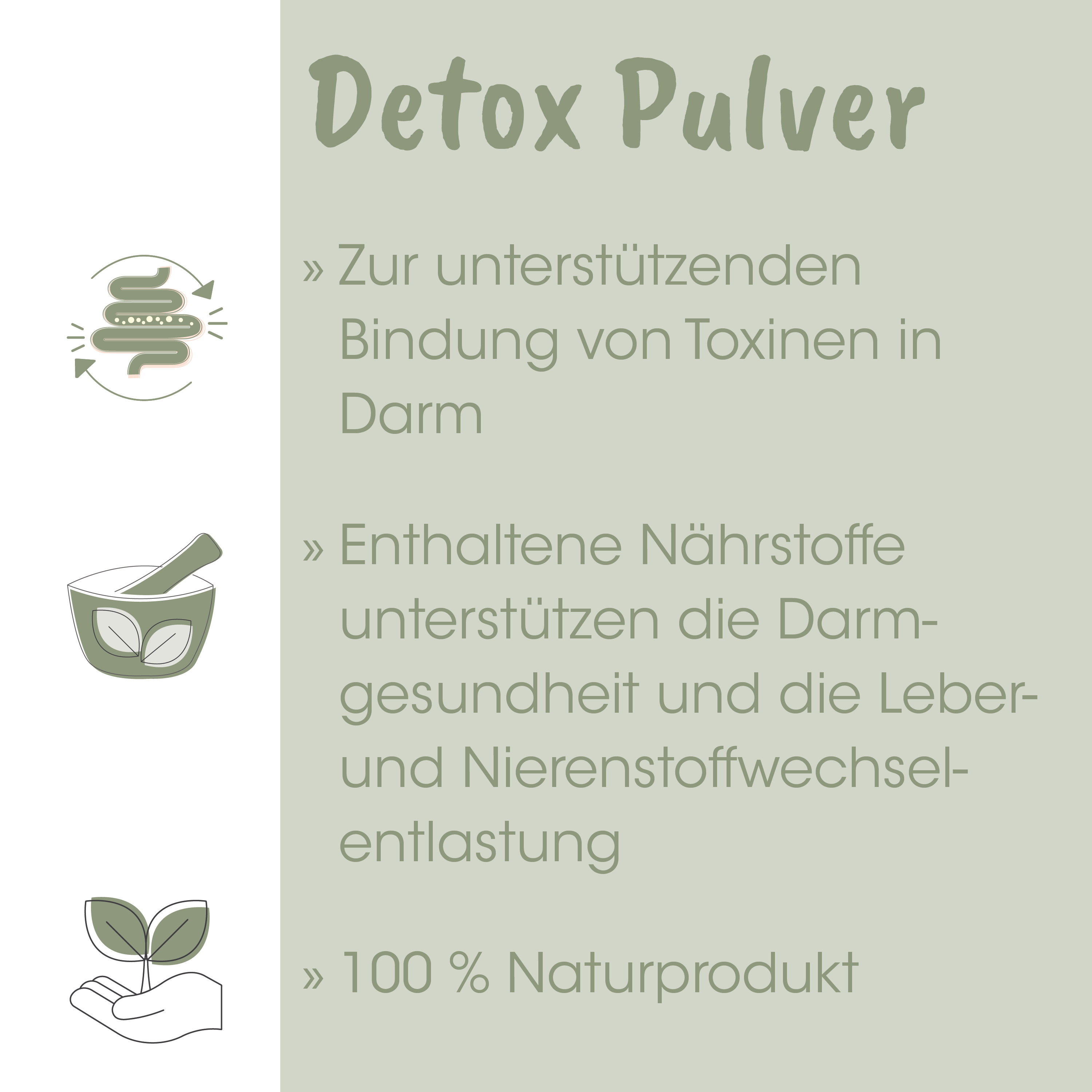 Detox-Pulver, Magen-Darm-Unterstützung, natürliches Produkt, Pulver, Gesundheitswert