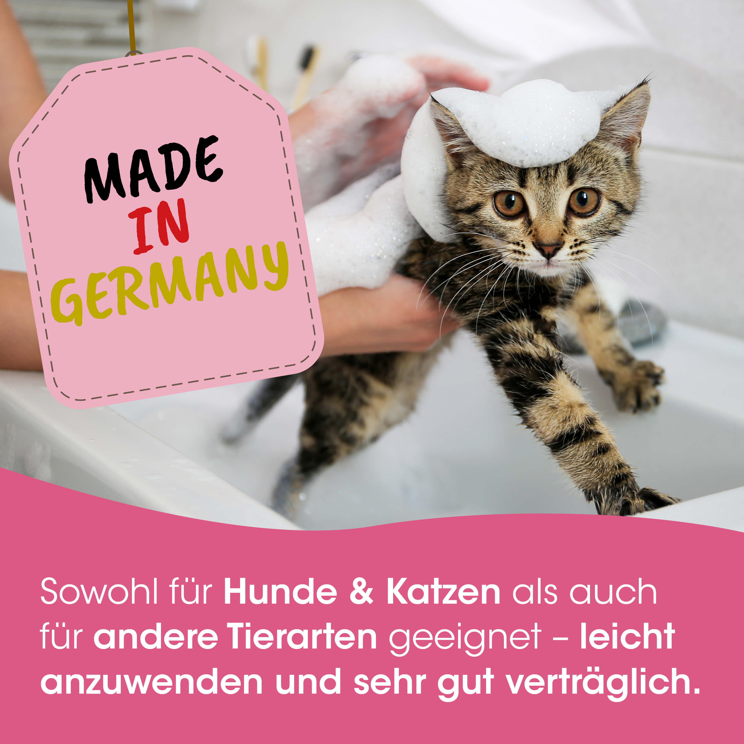 Katze, Katzenbad, Waschanleitung, Getauft, Made in Germany