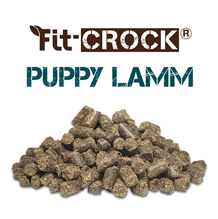 Fit-Crock Chiots Agneau 3 kg