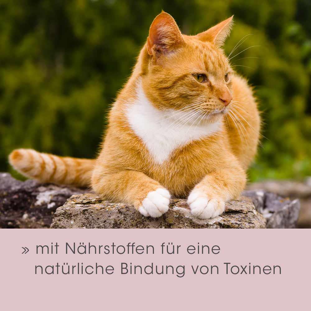 feliTATZ RégulateurIntestinal 50 g