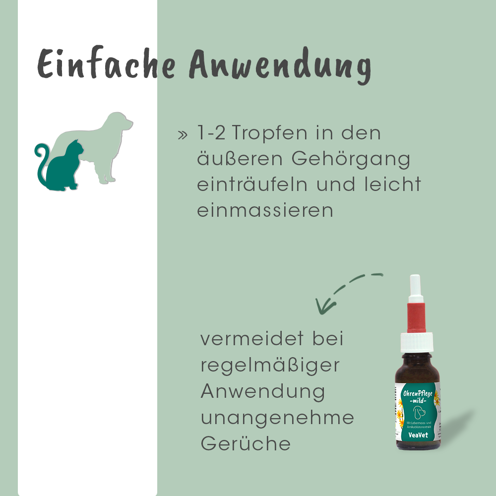 Werbung, Plakat, Flasche, Bär, Tierwelt