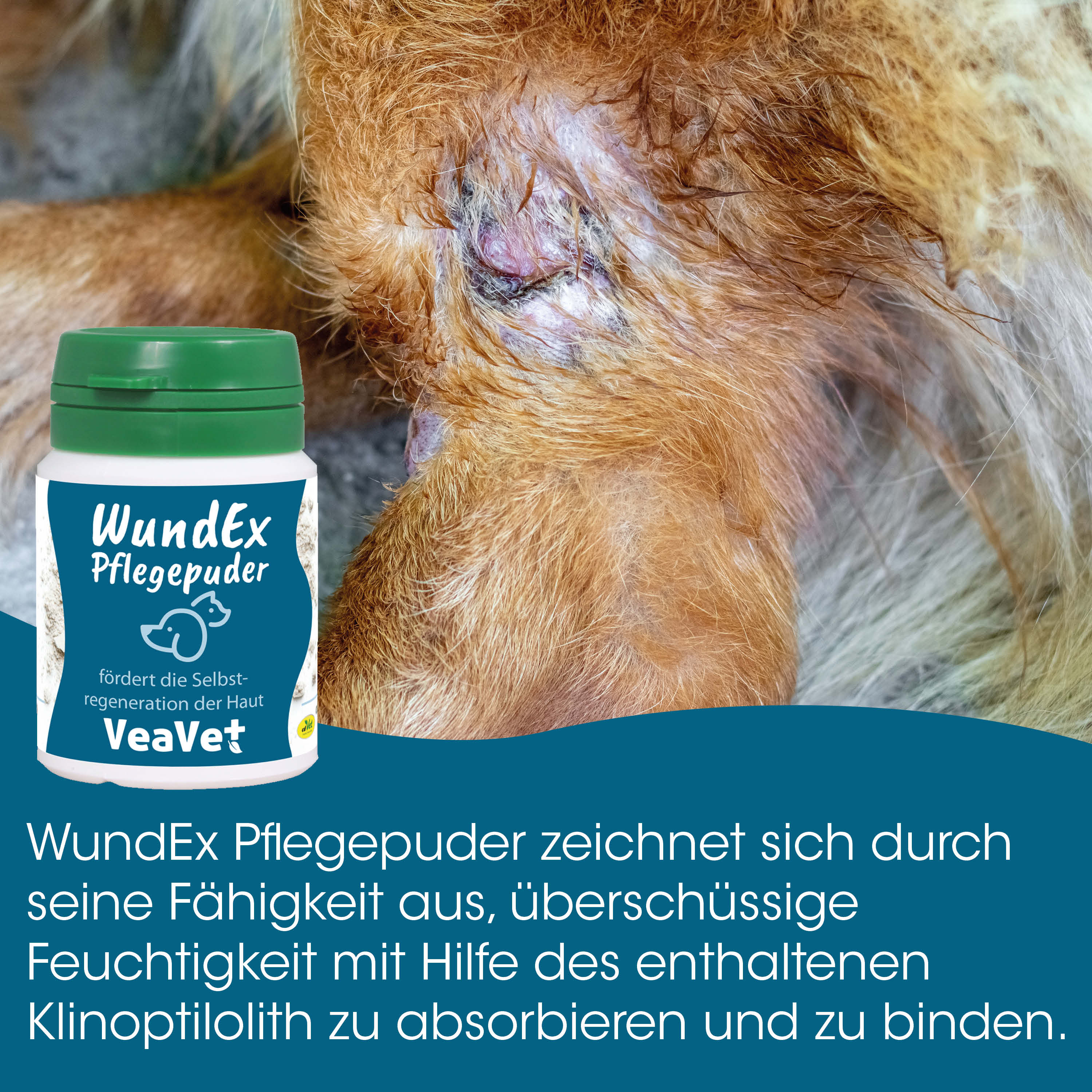 Tierpflege, Wundsalbe, Pferd, Pferdefell, Hydrogel?