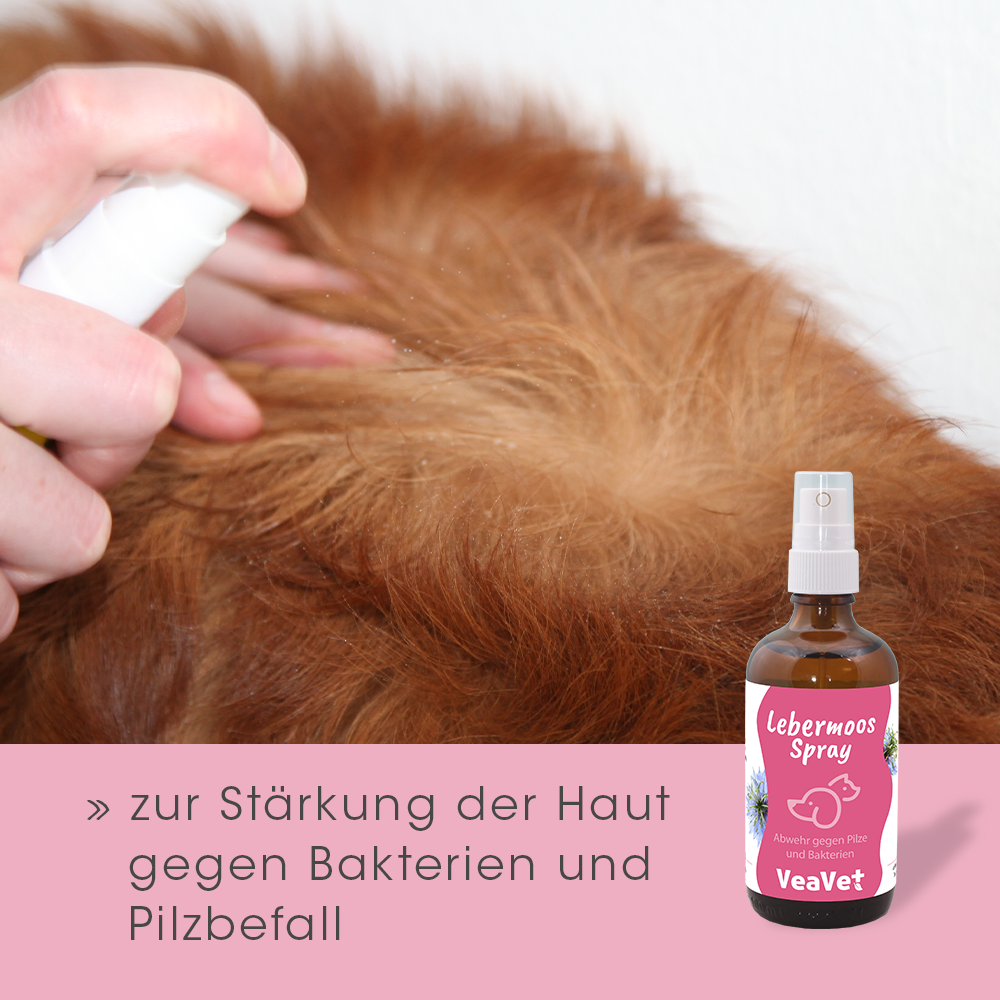 Haarpflege, Spray, Tiergesundheit, Haut Stärkung, Flasche Spray